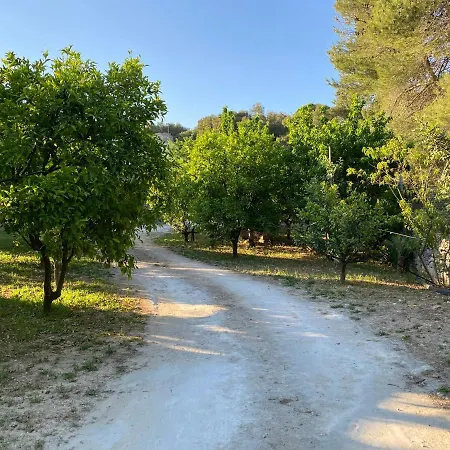 Masseria Frantella *
