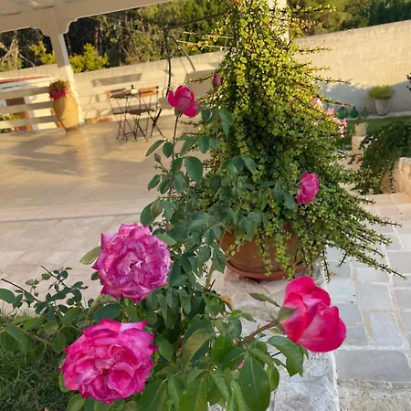 Villa Masseria Frantella *